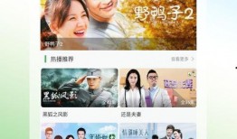 天天在线观看视频,精彩视频内容概览