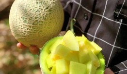 娱乐吃瓜地方,吃瓜群众必看的幕后故事